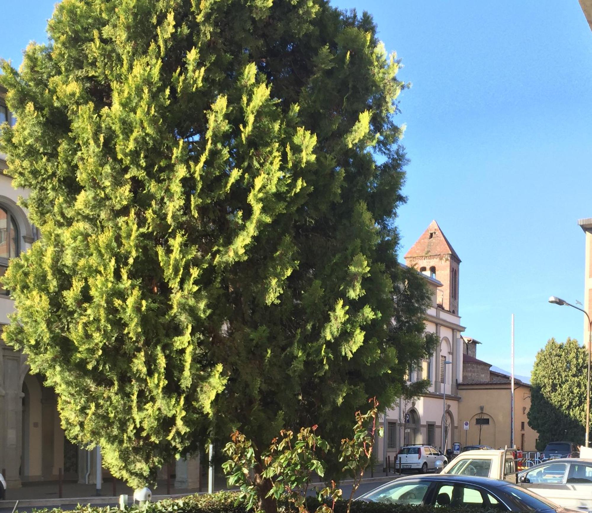 San Donato Flat Apartment Firenze Bagian luar foto